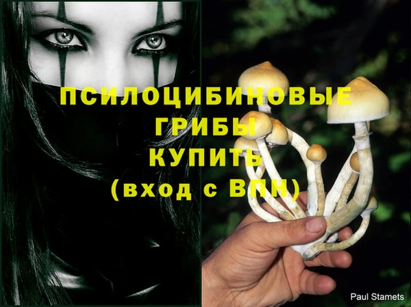 скорость Абаза