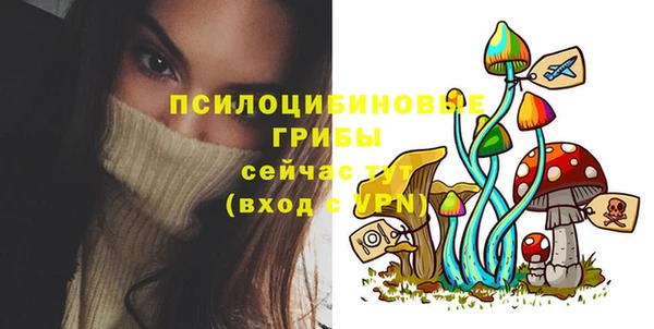 скорость Абаза