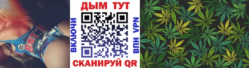 Бошки Шишки гибрид  где найти   Талдом 